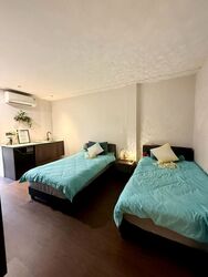 Serangoon Road (D8), Apartment #502659531